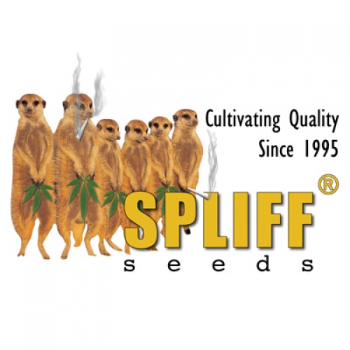 Marca: Spliff